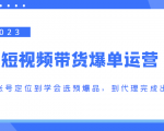 2023短视频带货爆单运营,从账号定位到学会选预爆品,到代理完成出单(价值1250元)-知乎者也