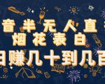 抖音半无人直播烟花表白,日赚几十到几百(教程+视频模板素材)-知乎者也