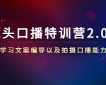 镜头口播特训营2.0版,学习文案编导以及拍摄口播能力(50节课时)-知乎者也