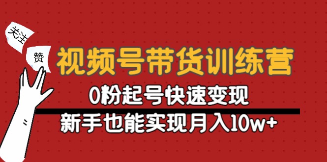 视频号带货训练营:0粉起号快速变现,新手也能实现月入10w+-知乎者也
