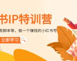 小红书IP特训营:从搭建-制作-爆款脚本等等,做一个赚钱的小红书号-知乎者也