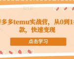 跨境拼多多temu实战营,从0到1打造爆款,快速变现-知乎者也