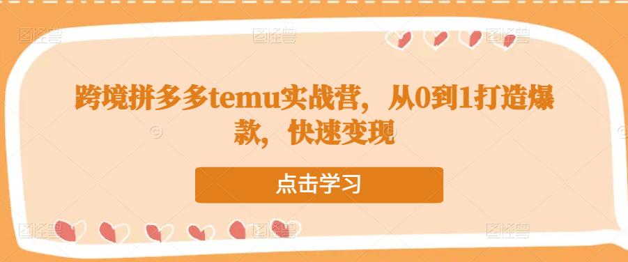 跨境拼多多temu实战营,从0到1打造爆款,快速变现-知乎者也
