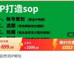 瑶瑶·自然流IP孵化,系统掌握IP孵化全流程,也能学到选题,剪辑,账号运营经验-知乎者也
