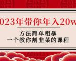 韭菜-联盟·2023年带你年入20w+方法简单粗暴,一个教你割韭菜的课程-知乎者也