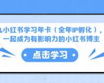 厦九九小红书学习年卡(全年IP孵化),沉浸式学习,一起成为有影响力的小红书博主-知乎者也