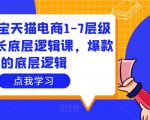 大圣淘宝天猫电商1-7层级盈利增长底层逻辑课,爆款的底层逻辑-知乎者也