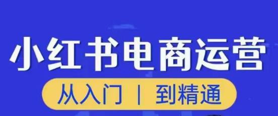 顽石小红书电商高阶运营课程,从入门到精通,玩法流程持续更新-知乎者也
