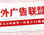 外面收费1980的最新国外LEAD广告联盟搬砖项目,单号一天至少30美金【详细玩法教程】-知乎者也