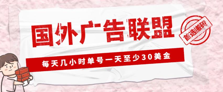 外面收费1980的最新国外LEAD广告联盟搬砖项目,单号一天至少30美金【详细玩法教程】-知乎者也