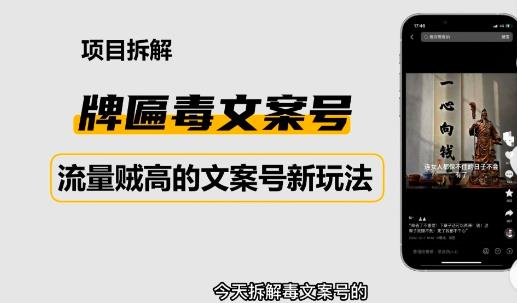 2023抖音快手毒文案新玩法,牌匾文案号,起号快易变现-知乎者也