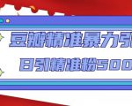 豆瓣精准暴力引流,日引精准粉500+【12课时】-知乎者也