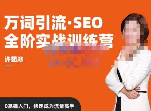 许茹冰·万词引流-SEO全阶实战训练营,0基础入门,快速成为流量高手-知乎者也