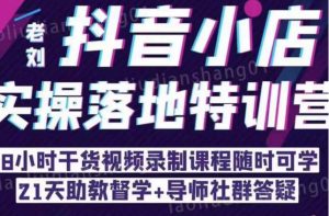 抖音小店实操落地特训营:抖音小店无货源精细化运营,抖店商品卡流量(22节)-知乎者也