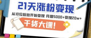 21天精准涨粉变现干货大课:从10位粉丝开始变现月增5000+变现20w+-知乎者也