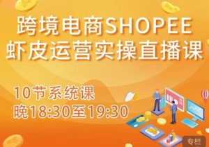 跨境电商Shopee虾皮运营实操直播课，从零开始学，入门到精通（10节系统课）-知乎者也