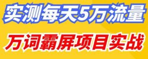 百度万词霸屏实操项目引流课,30天霸屏10万关键词-知乎者也