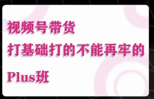 大播汇·视频号带货Puls班,视频号底层逻辑,起号自然流鱼塘等玩法-知乎者也