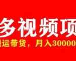 多多带货视频快速50爆款拿带货资格，搬运带货，月入30000【全套脚本+详细玩法】-知乎者也