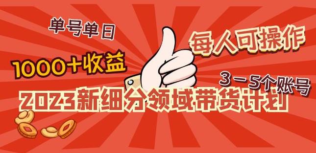 2023新细分领域带货计划:单号单日1000+收益不难,每人可操作3-5个账号-知乎者也