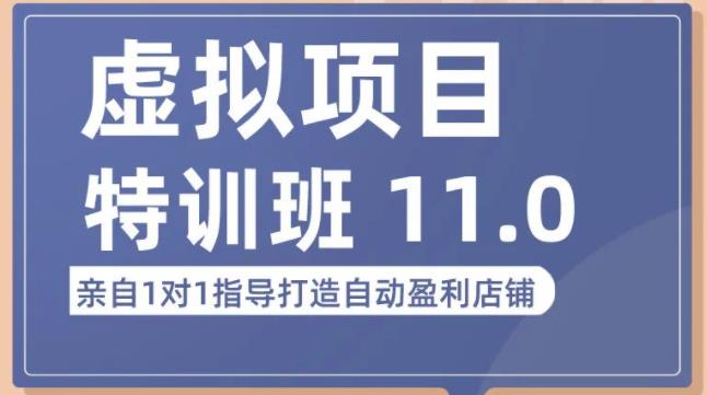 陆明明·虚拟项目特训班(10.0+11.0),0成本获取虚拟素材,0基础打造自动盈利店铺-知乎者也