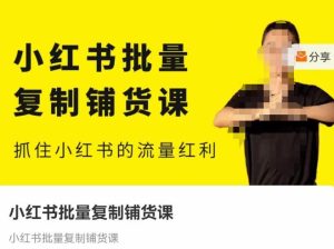 张宾·小红书批量复制铺货课，抓住小红书的流量红利 （更新2023年2月）-知乎者也