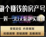刘广标·同城房产号线上陪跑课,拍摄、剪辑、写文案、直播,做一个具有潜力价值的房产号-知乎者也