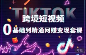 跨境短视频TIKTOK 0基础到精通网赚变现套课,跨境短视频独立站带货变现技巧-知乎者也