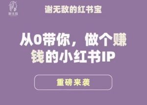 谢无敌·小红书运营大宝典，从0带你做个赚钱的小红书IP-知乎者也