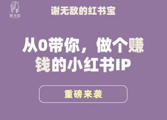 谢无敌·小红书运营大宝典，从0带你做个赚钱的小红书IP-知乎者也