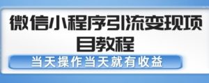 微信小程序引流变现项目教程,当天操作当天就有收益,变现不再是难事-知乎者也