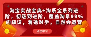 淘宝实战宝典+淘系全系列进阶，初级到进阶，覆盖淘系99%的知识，看透对手，自然会运营-知乎者也