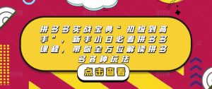 拼多多实战宝典“初级到高手”，新手小白必看拼多多课程，带你全方位解读拼多多各种玩法-知乎者也