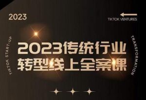数据哥2023传统行业转型线上全案课,2023年传统行业如何转型线上,线上创业/传统转型避坑宝典-知乎者也