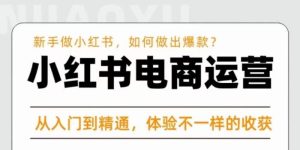 红商学院·小红书电商运营课,新手做小红书如何快速做出爆款,从入门到精通,体验不一样的收货-知乎者也