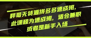 胖哥无货源拼多多速成班,此课程为速成班,适合兼职或者是新手入场-知乎者也