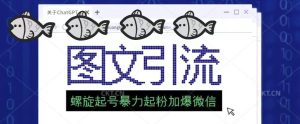 2023年价值1980的图文引流创业粉螺旋起好技术暴力起粉加爆微信-知乎者也