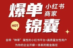 无畏·小红书商家爆单锦囊,掌握小红书各大规则,快速精准抢占行业和市场-知乎者也