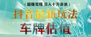 抖音最新无人直播变现直播车牌估值玩法项目,轻松日赚几百+【详细玩法教程】-知乎者也