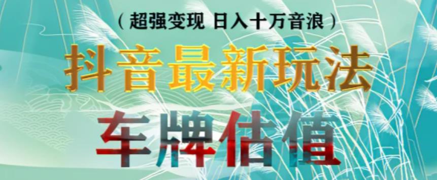 抖音最新无人直播变现直播车牌估值玩法项目，轻松日赚几百+【详细玩法教程】-知乎者也