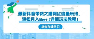 最新抖音带货之蹭网红流量玩法，轻松月入8w+【详细玩法教程】-知乎者也
