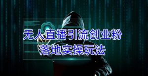 外面收费3980的无人直播引流创业粉落地实操玩法,单日引100+精准创业粉-知乎者也