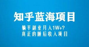 知乎蓝海玩法,躺平副业月入1W+,真正的睡后收入项目(6节视频课)-知乎者也