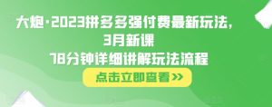 大炮·2023拼多多强付费最新玩法，3月新课​78分钟详细讲解玩法流程-知乎者也