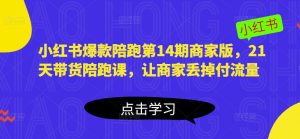 小红书爆款陪跑第14期商家版,21天带货陪跑课,让商家丢掉付流量-知乎者也