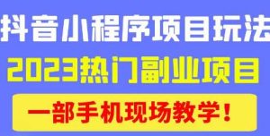 抖音小程序9.0新技巧,2023热门副业项目,动动手指轻松变现-知乎者也