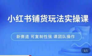 小红书铺货玩法实操课,流量大,竞争小,非常好做,新赛道,可复制性强,可团队操作-知乎者也