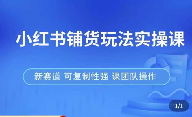 小红书铺货玩法实操课，流量大，竞争小，非常好做，新赛道，可复制性强，可团队操作-知乎者也
