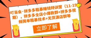 叮当会·拼多多粗暴赚钱特训营(11-19期),拼多多全店小爆款群+拼多多视频简单粗暴技术+无货源店群等-知乎者也