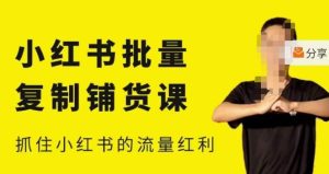 张宾·小红书批量复制铺货课,小红书0-1快速起号变现玩法,抓住小红书的流量红利(更新2023年3月)-知乎者也